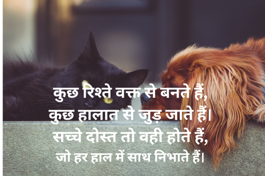True Friendship Shayari
